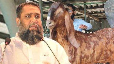 সাদিক এগ্রোর মালিক ইমরান গ্রেপ্তার