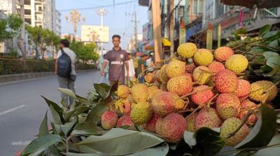 রাজশাহীর বাজারে লিচু এসেছে