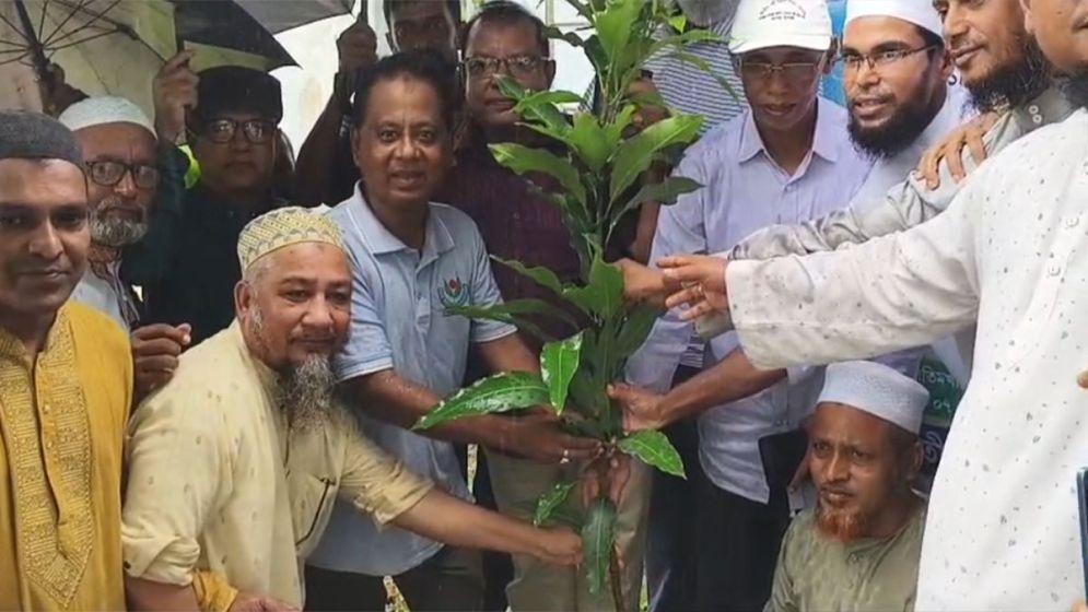 কলাপাড়ায় পৌর ওলামা দলের বৃক্ষরোপণ কর্মসূচি