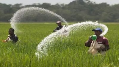আত্রাইয়ের ভাঙ্গাজাঙ্গাল বাজারে সার ডিলার নিয়োগের দাবি