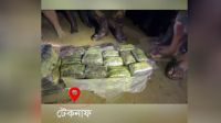 টেকনাফে ৩ লাখ ৯০ হাজার ইয়াবা সহ আটক ১